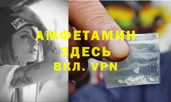 молекула духа Пестово
