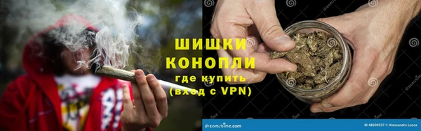 молекула духа Осинники