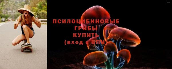 молекула духа Осинники