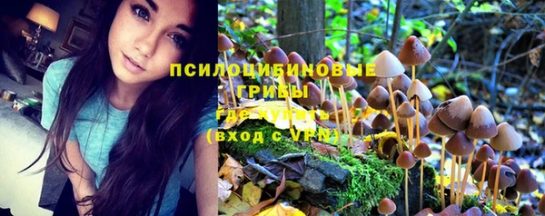 молекула духа Пестово