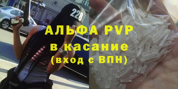 молекула духа Пестово
