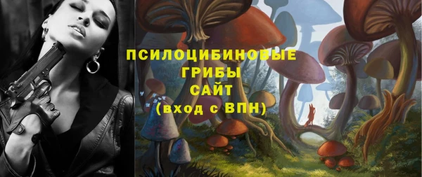 гидра Пересвет
