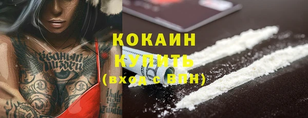 гидра Пересвет