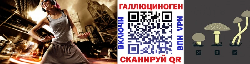 Галлюциногенные грибы Cubensis  где продают   даркнет состав  Микунь 