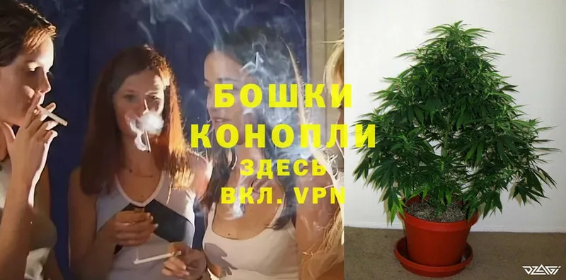 Шишки марихуана SATIVA & INDICA  Микунь 